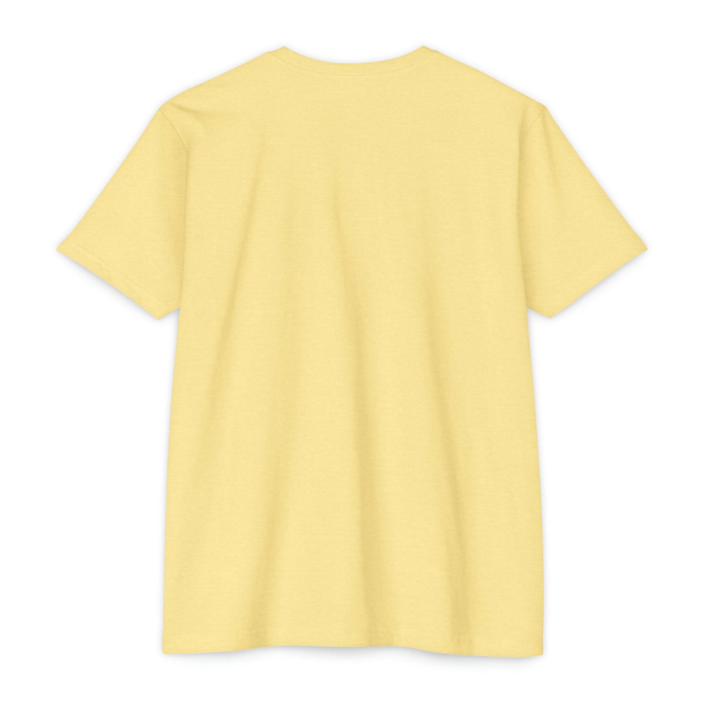 Unisex CVC Jersey T-shirt
