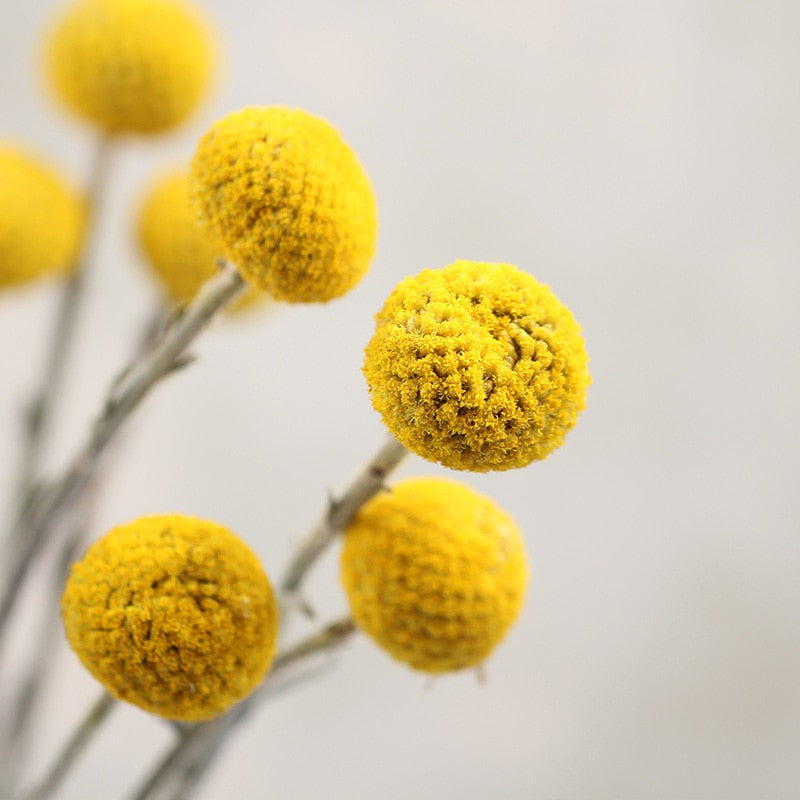 Golden Ball Dried Flower Home Bouquet With Flowers