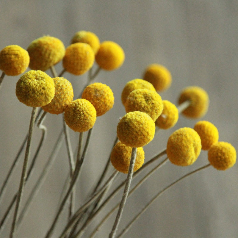 Golden Ball Dried Flower Home Bouquet With Flowers