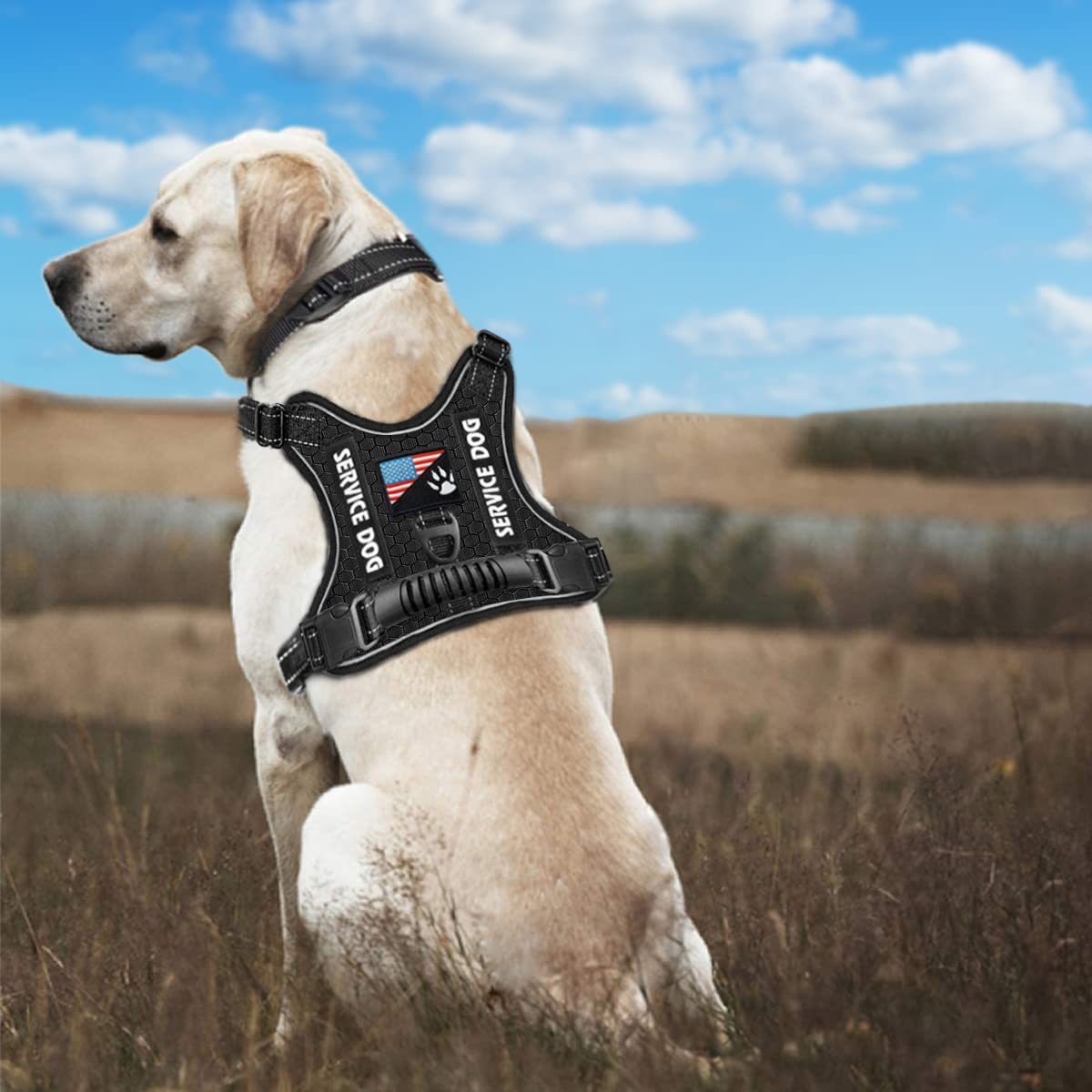 Shock Absorption Comfortable Night Vision Reflective Pet Harness Dog Vest Traction Chest Strap