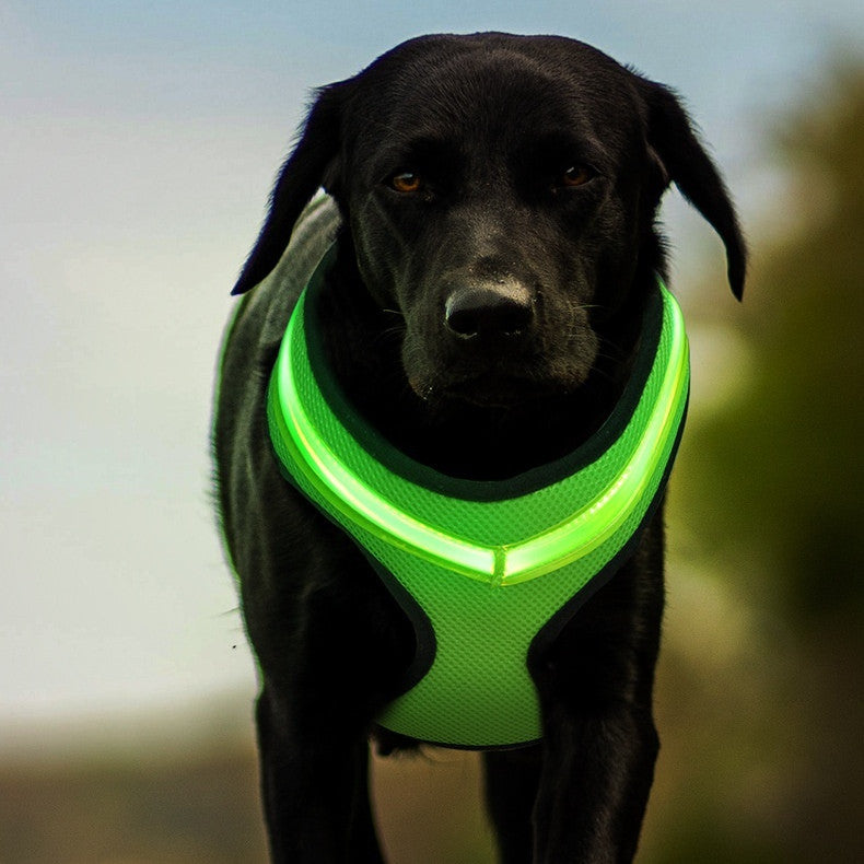 Pet Supplies LED Luminous Dog Chest Strap Rechargeable Mesh Luminous Harness