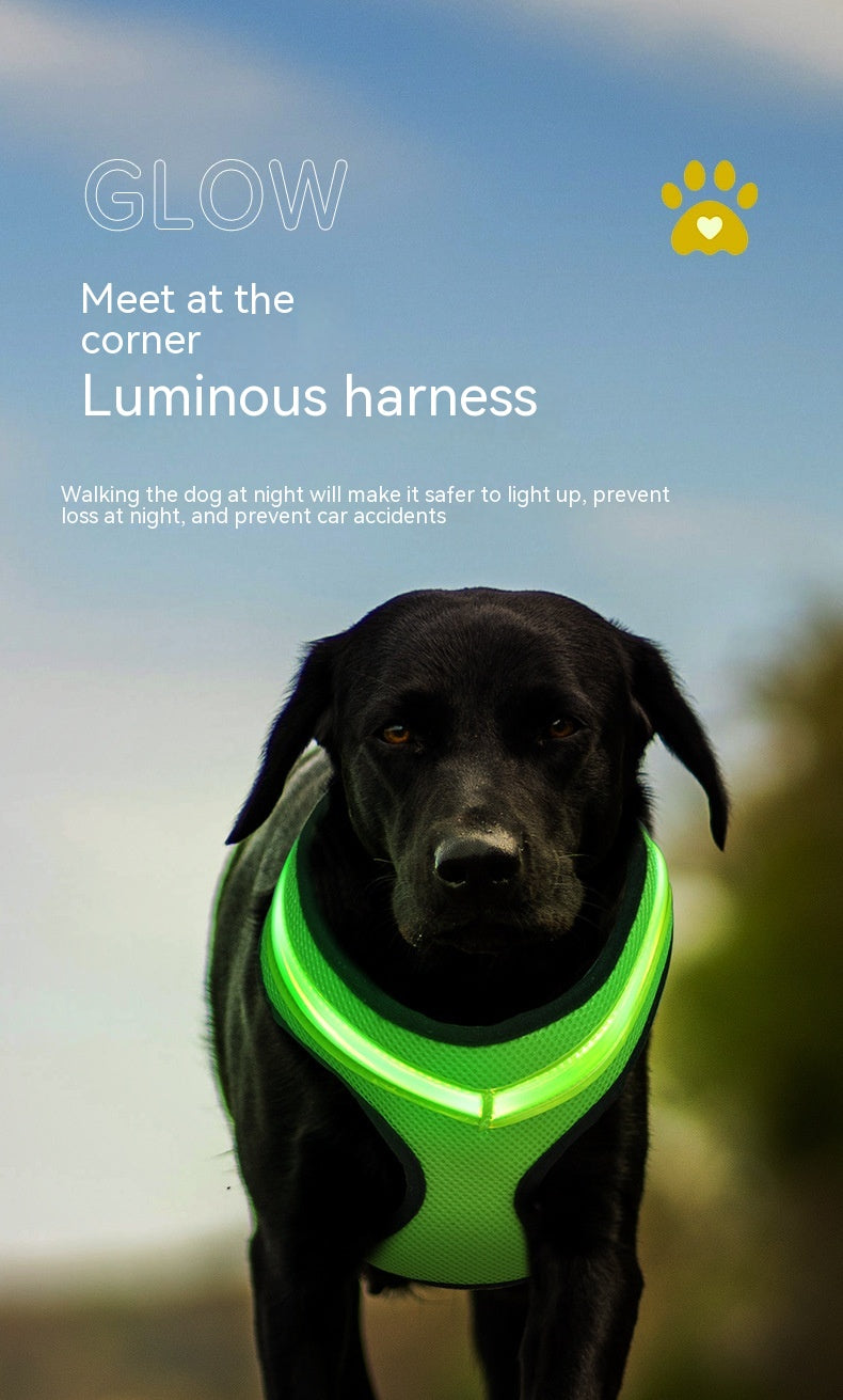 Pet Supplies LED Luminous Dog Chest Strap Rechargeable Mesh Luminous Harness